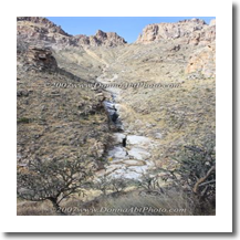 normal_bc7falls5528
