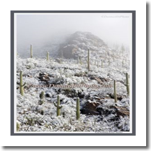 normal_snow1-076011ee
