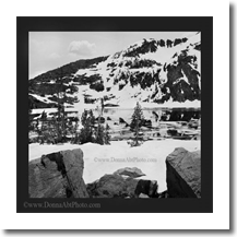 normal_snowlake2989abw