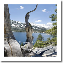 normal_tahoe0861e