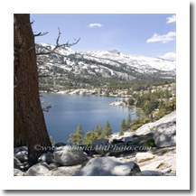 normal_tahoe864e2